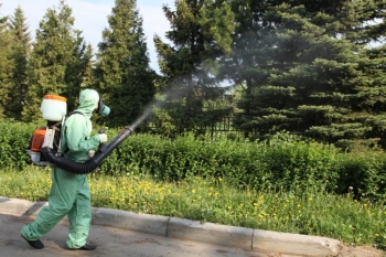 Уничтожение комаров в Дрезне